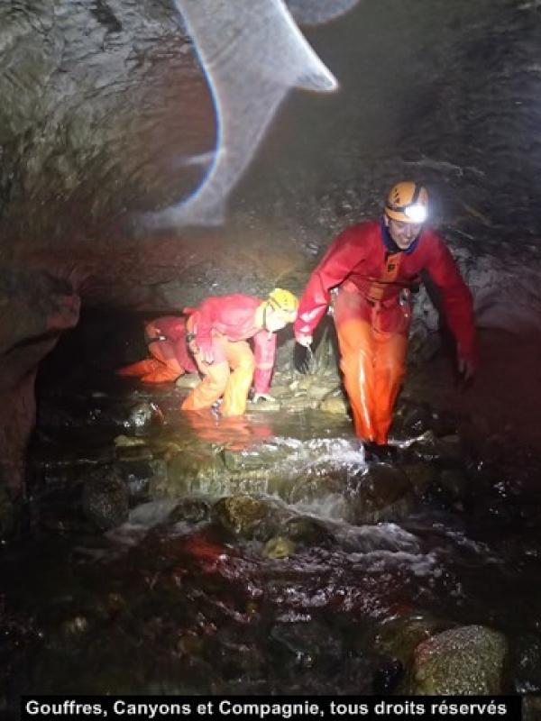 Dans la rivière