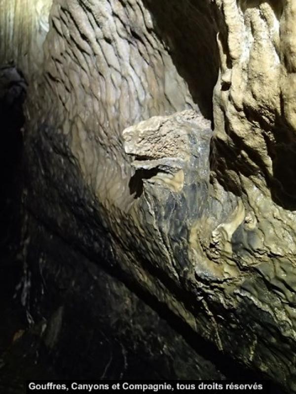 L'iguane de Siech