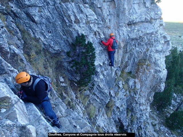 La descente sur le pont de singe